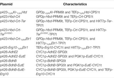 Glucose/Xylose Co-Fermenting Saccharomyces cerevisiae Increases the Production of Acetyl-CoA Derived n-Butanol From Lignocellulosic Biomass